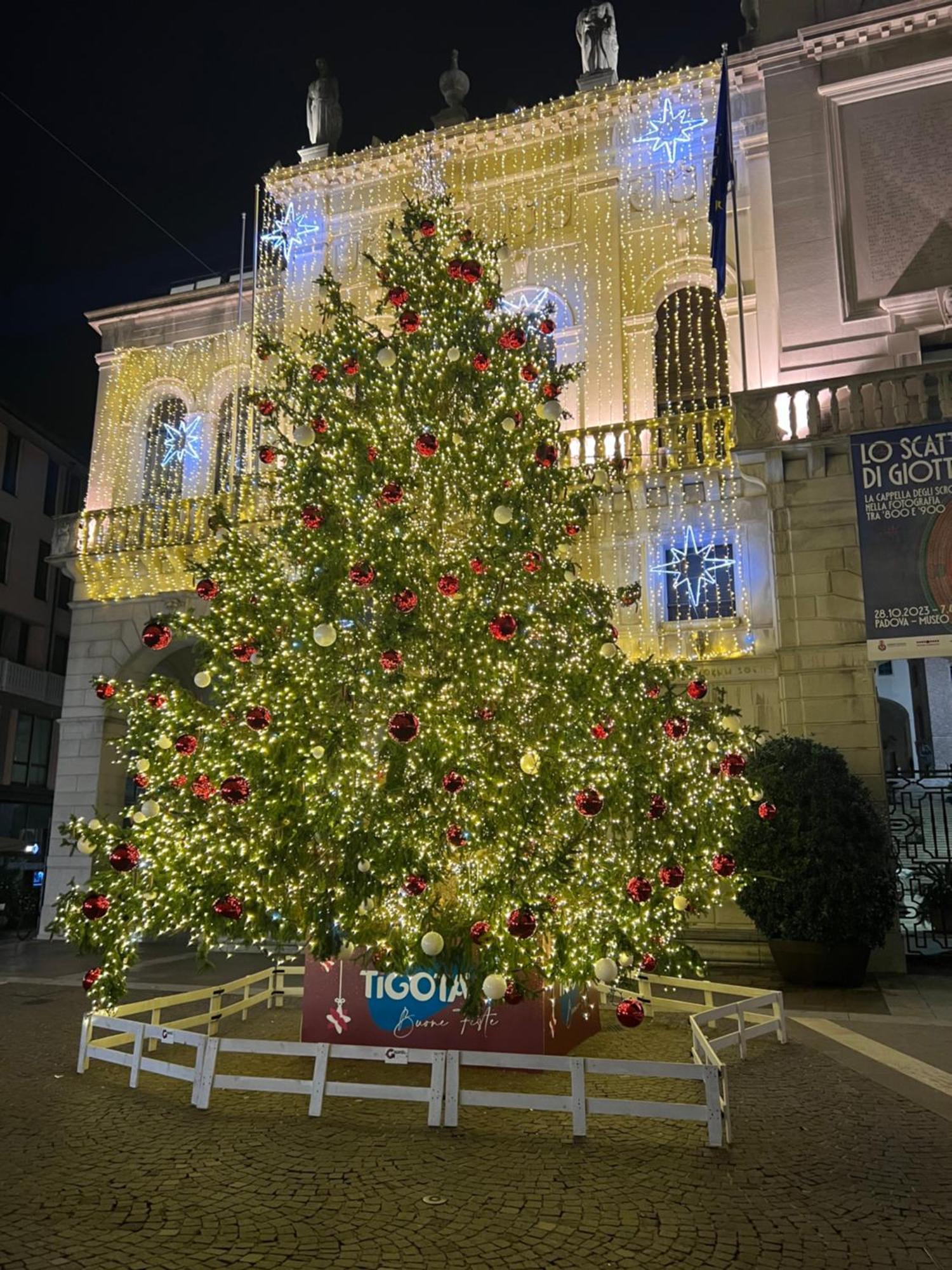 Appartamento Dolly Padova